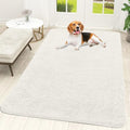 OLANLY Dog Door Mat for Muddy Paws 59x35, Super Absorbent Chenille Mud Mat by OLANLY