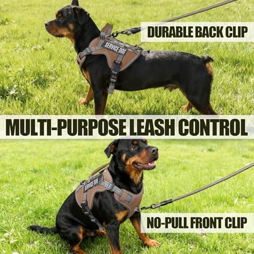 Dog Harness and Leash Set for Small Dogs, No Pull Tactical Dog Harness - Image 6