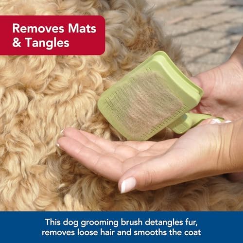 Coastal Pet Safari Dog Self-Cleaning Slicker Brush - Image 4