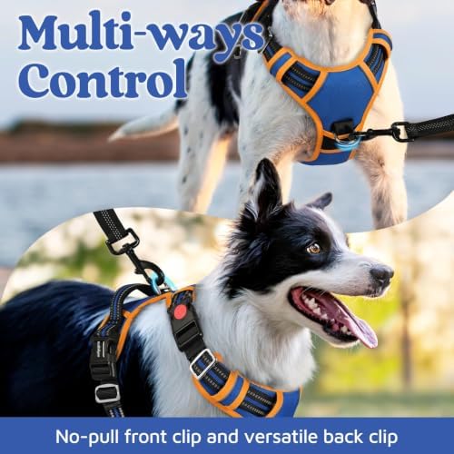 rabbitgoo Dog Harness Medium Sized, No Pull 3 Buckles Easy On & Off - Image 3