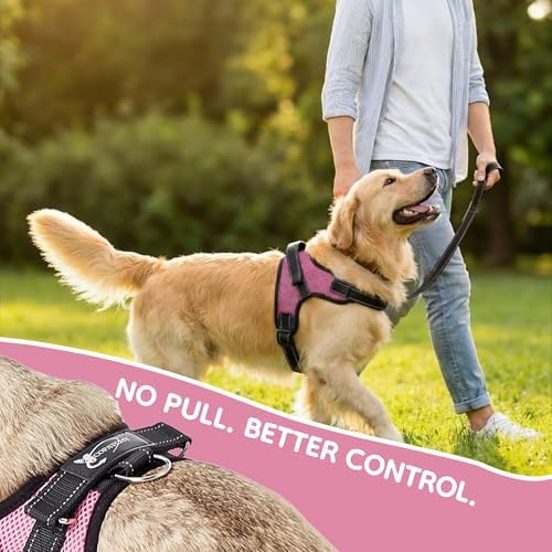 No Pull Reflective Adjustable Dog Harness - Image 6