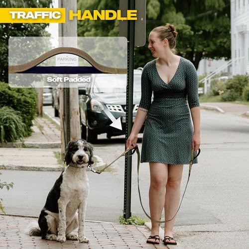 Fida 10 FT Heavy Duty Dog Leash, Dual Padded Handles - Image 3