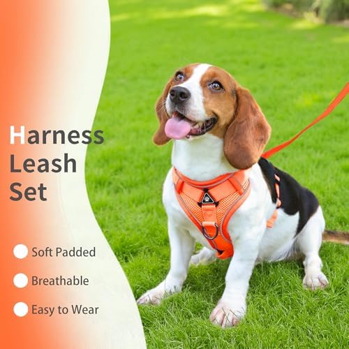 Dog Harness Medium Sized Dog Pet Vest - Image 2
