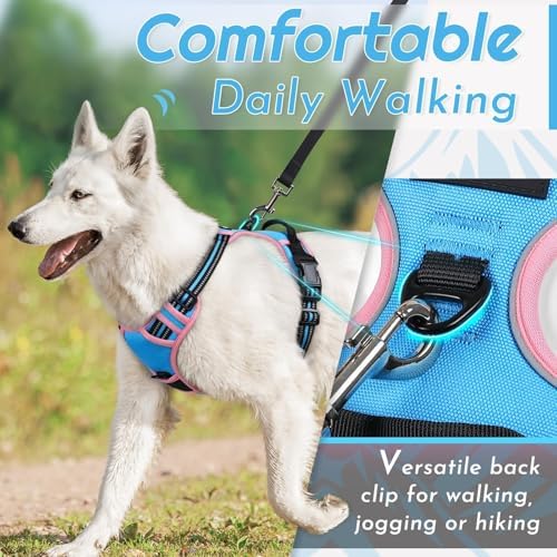 Eagloo Dog Harness for Small Dogs, No Pull Pet Vest - Image 4