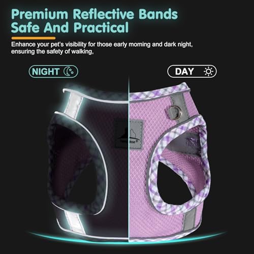 Dog Harness & Leash Set - Image 5