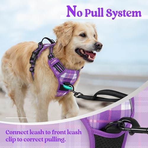 rabbitgoo Dog Harness, No Pull for Large Dogs - Image 5