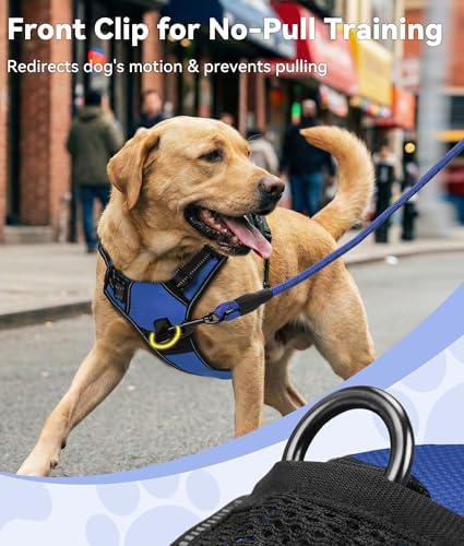 Joytale No Pull Dog Harness for Small Dogs, Front Clip - Image 2
