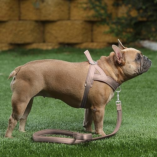 Plutus Pet No Pull Dog Harness for Puppy Small Dogs, Breathable Mesh Padded - Image 5