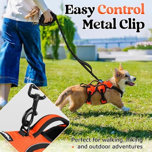 rabbitgoo Escape Proof Dog Harness - Image 5