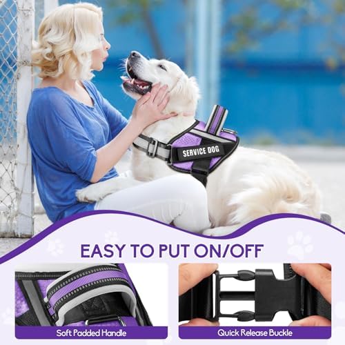 Service Dog Vest Harness and Leash Set, Animire in Training Dog Harness - Image 3