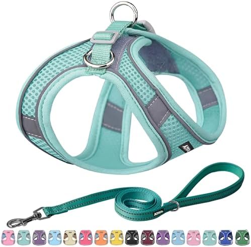 AIITLE Dog Harness and Leash Set, Step-in Puppy Pet Vest, Pure Turquoise M by AIITLE-FORPETSBETTERLIFE