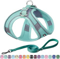 AIITLE Dog Harness and Leash Set, Step-in Puppy Pet Vest, Pure Turquoise M by AIITLE-FORPETSBETTERLIFE