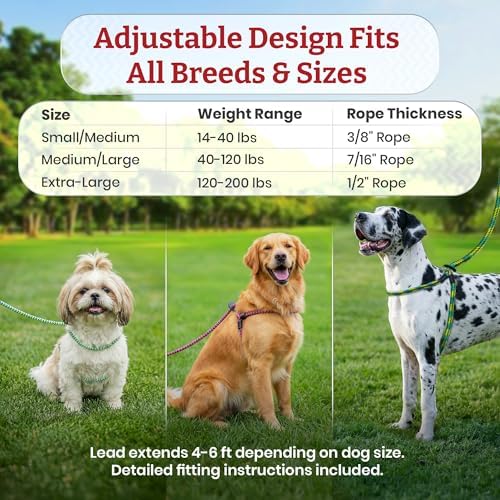 Harness Lead No Pull Dog Harness and Leash Set, Anti Pull Dog Harness - Image 6