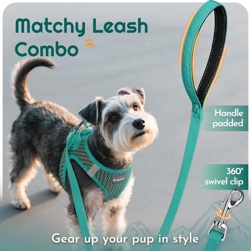Eagloo Small Dog Harness and Leash Set, Step in Small Sized Puppy Pet Vest - Image 6