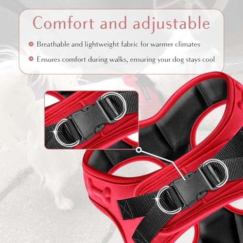 No Pull Dog Harness for Small, Medium & Large Dogs – Soft Padded, Adjustable - Image 2