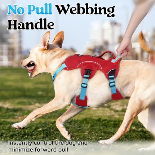 rabbitgoo Escape Proof Dog Harness - Image 3