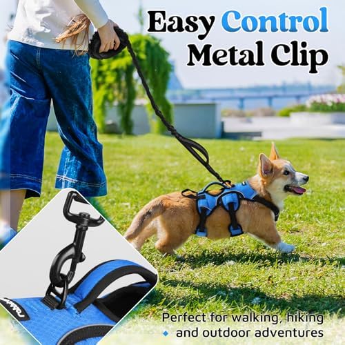rabbitgoo Escape Proof Dog Harness - Image 5