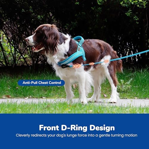 Didog No Pull Dog Harness for Large Dogs, Breathable Mesh Padded - Image 5