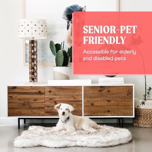PAW BRANDS PupRug Orthopedic Memory Foam Dog Bed - Image 6