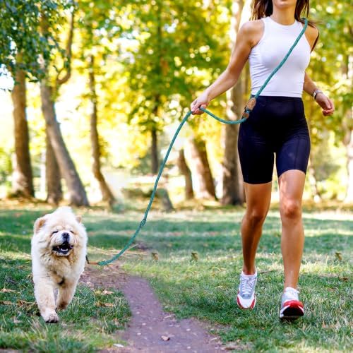 Mile High Life Hands Free Dog Leash, Crossbody Waist Leash - Image 6
