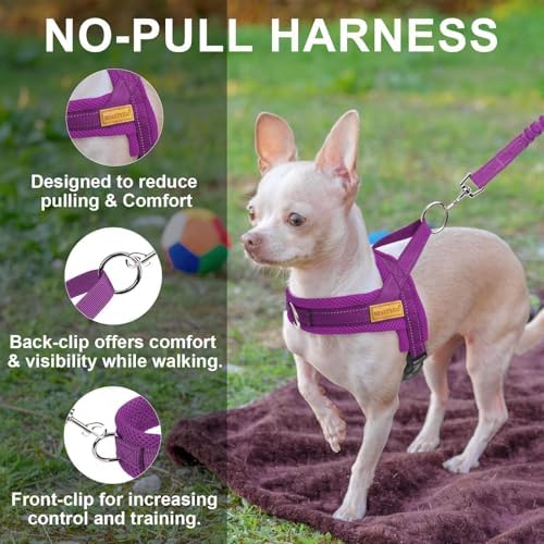 BEAUTYZOO Dog Harness Medium Sized and Leash Set, No Pull Step in Pet Vest - Image 6