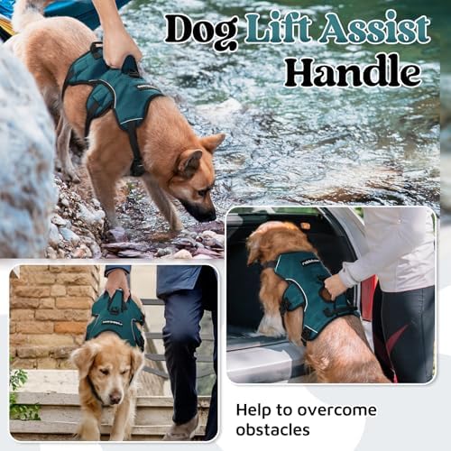 rabbitgoo Escape Proof Dog Harness - Image 3