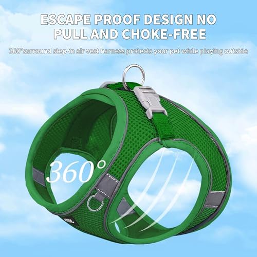 AIITLE Small Dog Harness and Leash Set, Step-in Puppy Pet Vest - Image 2