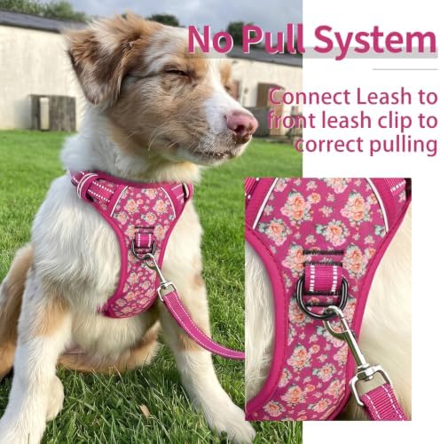 HEELE No Pull Large Dog Harness, Soft Breathable Padded Vest, Flower Rose L - Image 5