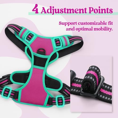 rabbitgoo Dog Harness, No Pull for Small Dogs - Image 4