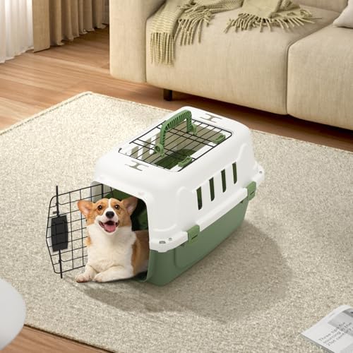 18 Inch Hard-Sided Plastic Dog Carrier 2 Door Travel Crate - Image 3