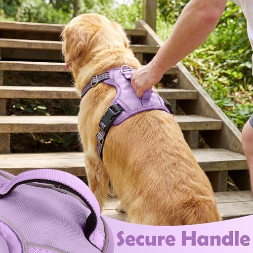 Funfox Dog Harness No Pull, Adjustable Pet Vest Harness, Super Soft Material - Image 5