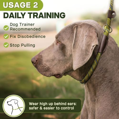 Fida Durable Slip Lead Dog Leash, 6 FT x 3/8" Dog Training Leash - Image 5