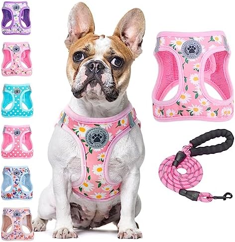BEAUTYZOO Large Dog Harness and Leash Set, No Pull Puppy Pet Vest by BEAUTYZOO