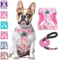 BEAUTYZOO Large Dog Harness and Leash Set, No Pull Puppy Pet Vest by BEAUTYZOO