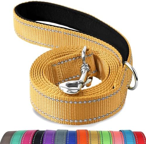 Joytale Reflective Dog Leash for Small Dogs, 4 FT x 3/4" by Joytale