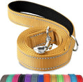 Joytale Reflective Dog Leash for Medium & Large Dogs, 5 FT x 1" by Joytale