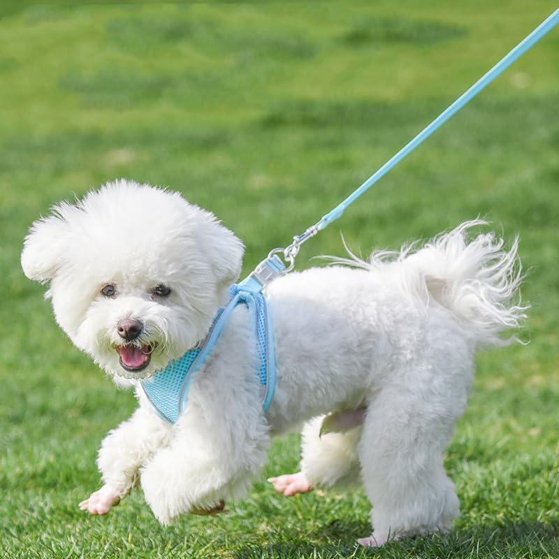 AIITLE Dog Harness and Leash Set, Step-in Puppy Pet Vest, Pure Blue XXXS - Image 4