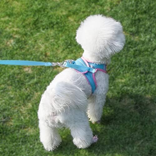 Small Dog Harness and Leash, Puppy Harness Girl Dog Vest - Image 6