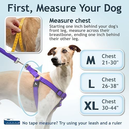 Kruz No Pull Dog Harness Heavy-Duty Pet Harness - Image 3