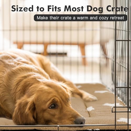 Mora Pets Cat Beds for Indoor Cats Washable Cat Mat Bed Flat Dog Crate Pad - Image 5