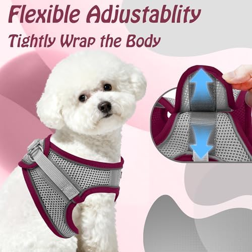 AIITLE Dog Harness and Leash Set, Step-in Puppy Pet Vest, Burgundy XS - Image 6