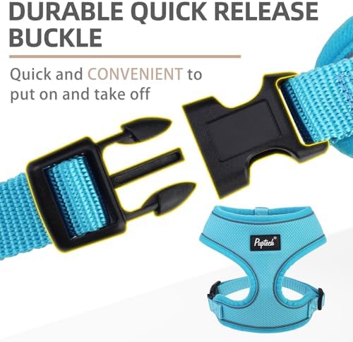 PUPTECK Small Dog Harness and Leash Set No Pull - Image 4