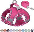 AIITLE Breathable Dog Harness Small Sized and Leash Set by AIITLE-FORPETSBETTERLIFE