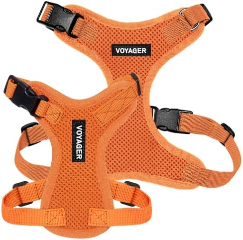 Voyager Step-in Lock Dog Harness - Image 6