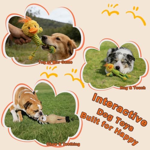 Duck Rope Dog Toy, Plush Lion Squeaky Dog Toy, 2 Pack - Image 5