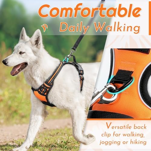 Eagloo Dog Harness for Small Dogs, No Pull Pet Vest - Image 4