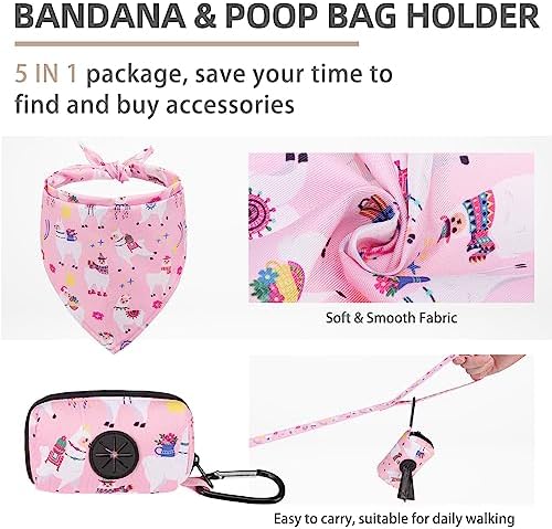 PUPTECK Dog Harness, Collar and Leash Set No Pull - Image 4