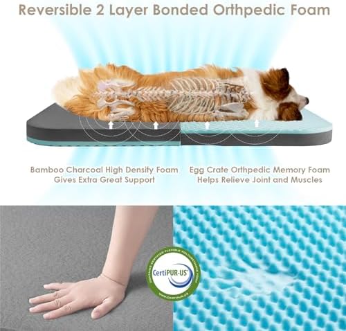 EHEYCIGA Orthopedic Foldable Human Dog Bed - Image 3