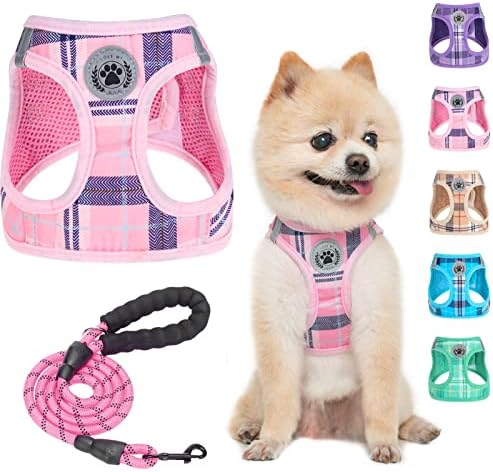 BEAUTYZOO Small Dog Harness and Leash Set, Step in No Choke No Pull Soft Mesh by BEAUTYZOO