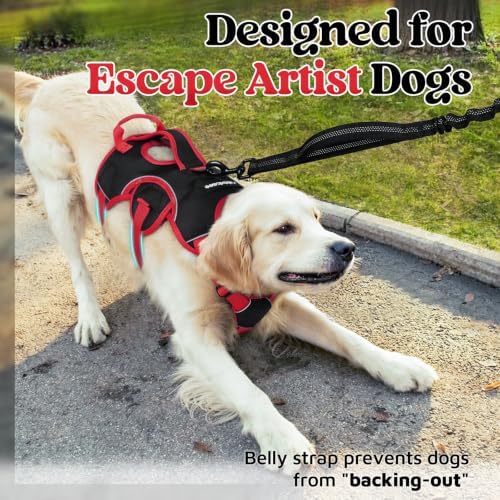 rabbitgoo Escape Proof Dog Harness - Image 4